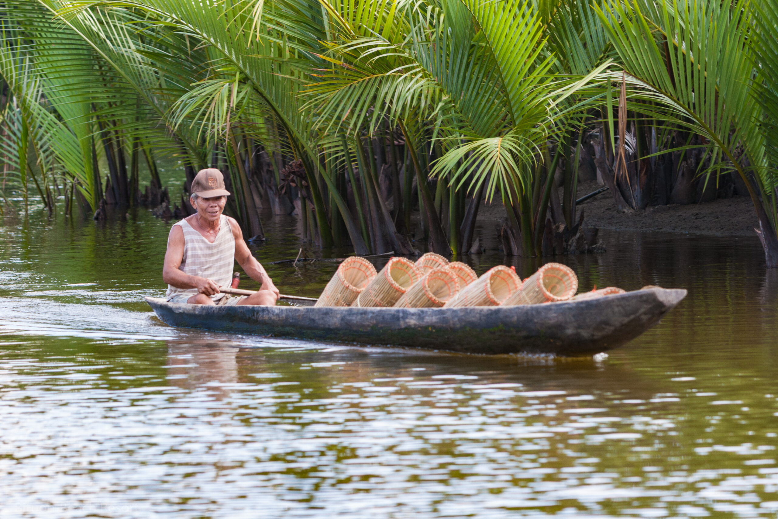 Bootstour durch die Mangrovenwaelder der Mabini-Bucht auf Bohol
