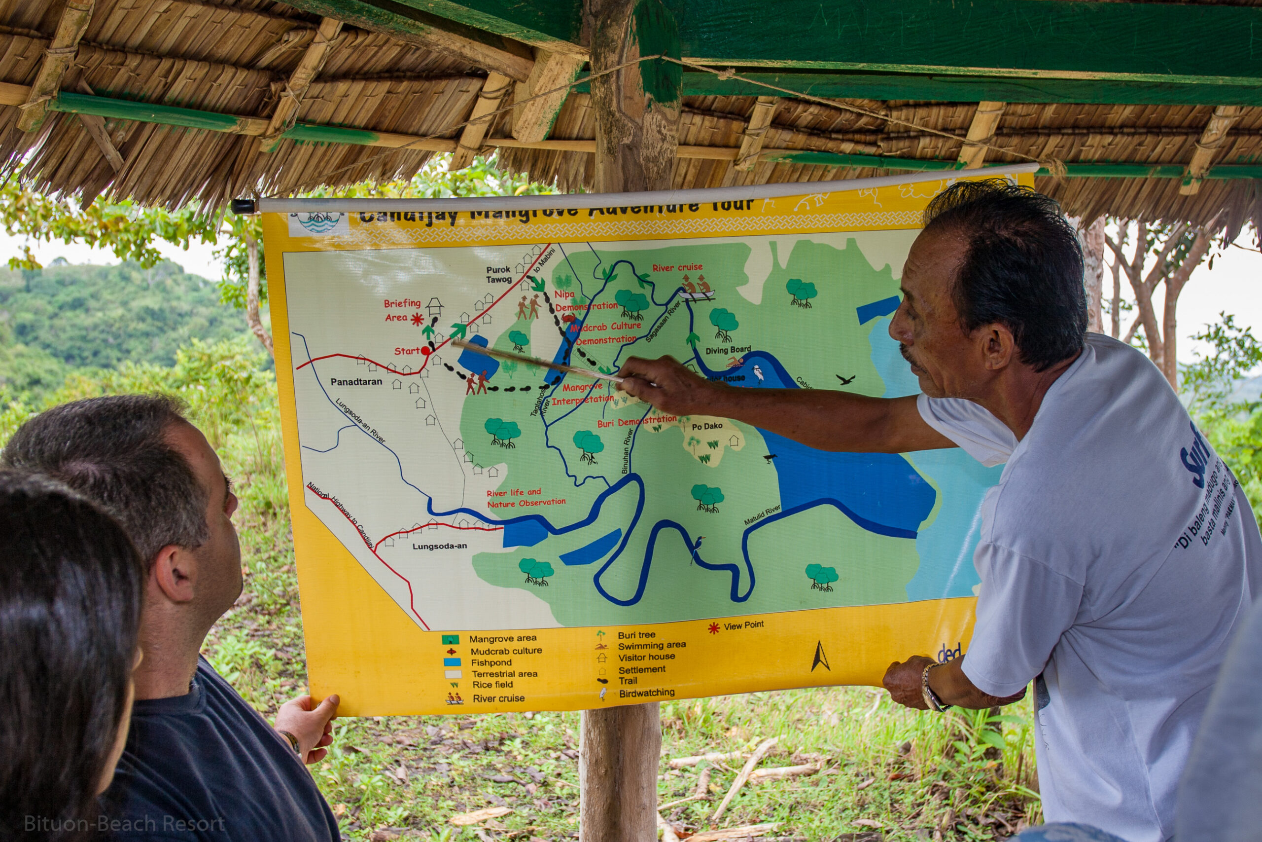 Mangrovenwurzeln im klaren Wasser der Bucht