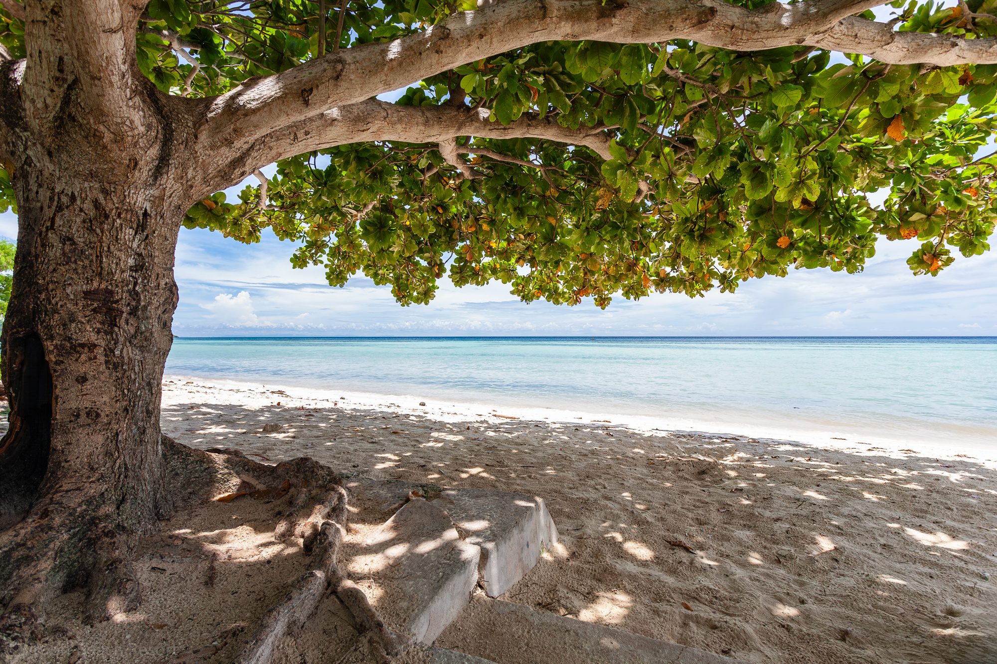 Jeepney vor der Kirche von Anda – kultureller Zwischenstopp während der geführten Tour vom Bituon Beach Resort.