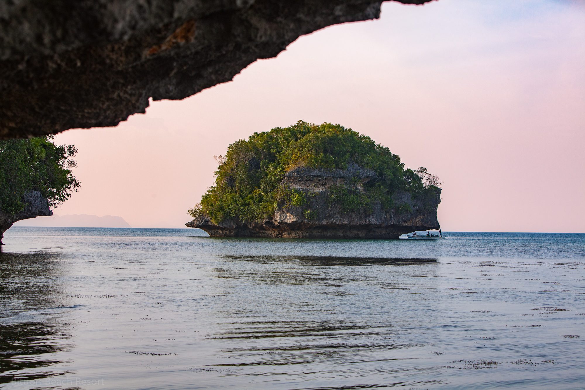 Kleine bewachsene Kalksteininsel vor Lamanok Island im warmen Abendlicht.