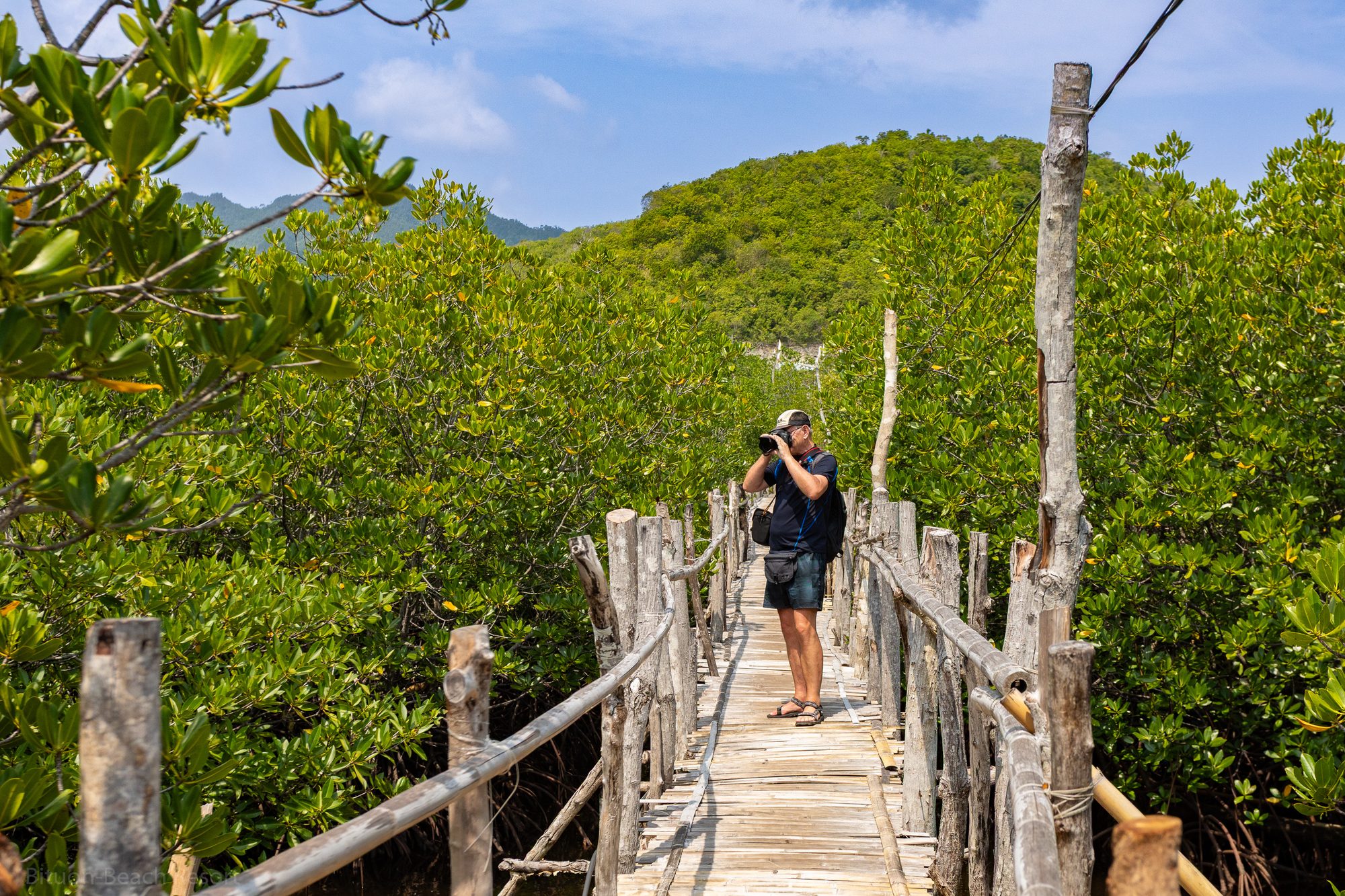 Gast fotografiert auf dem Holzsteg durch die Mangroven von Lamanok Island.